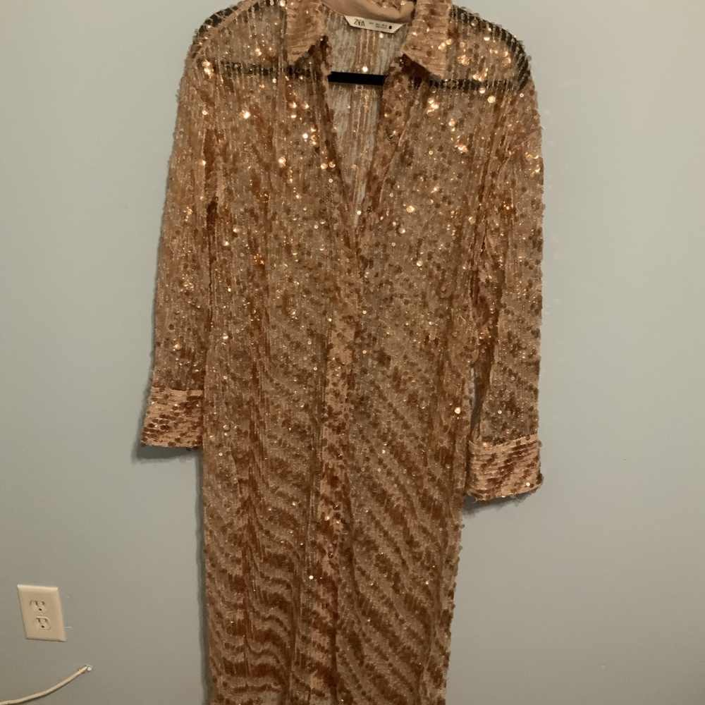 Zara Bronze Blush Sequin Shirtdress
